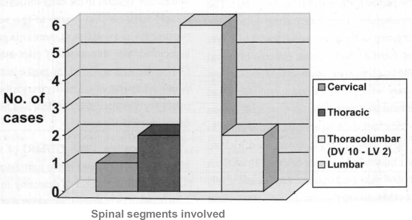 Distribution of spinal segments injured in the 11 cases of spinal injury