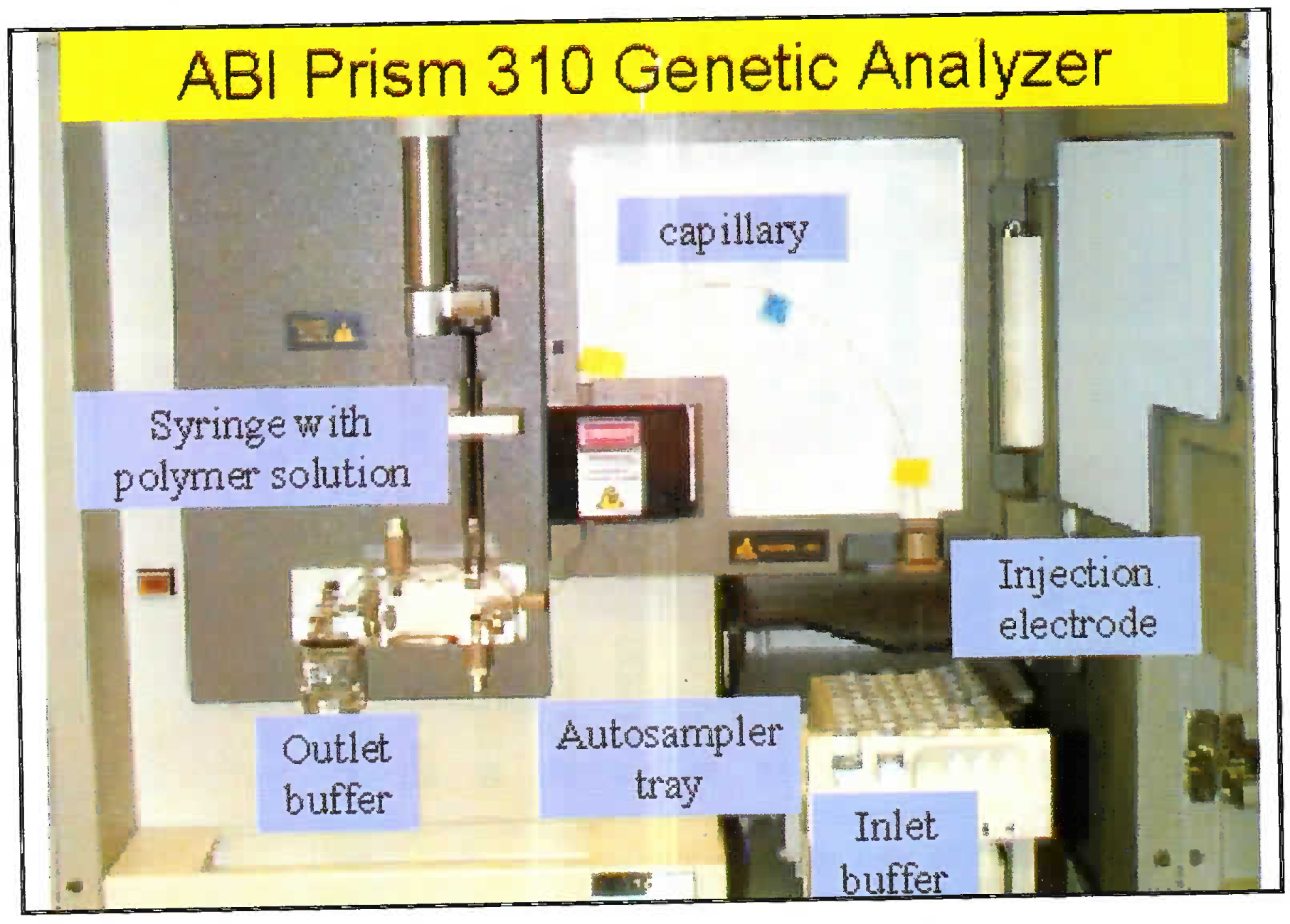 Pictograph of capillary electrophoresis machine