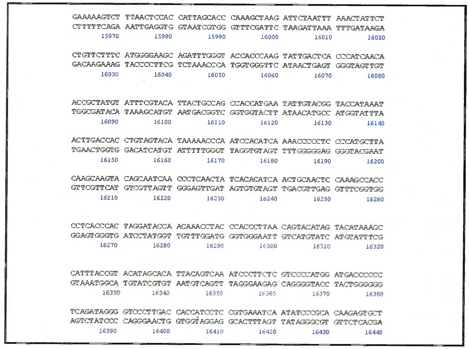 Amp FISTR system: 9 STR system showing the DNA of individual separated on known loci using three fluorescent labels. The red row is the standard molecular ladder with which the PCR product size can be compared