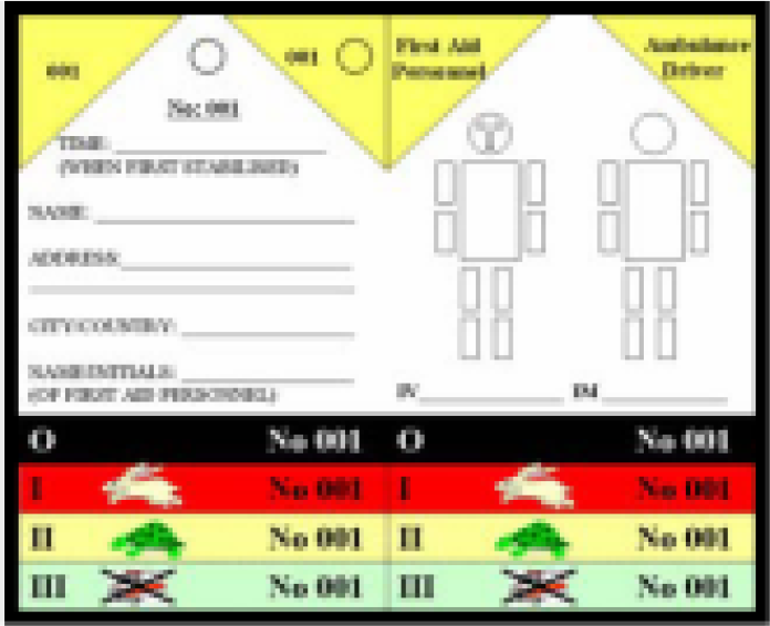 Triage Card developed for Naval Air Station, INS Hansa