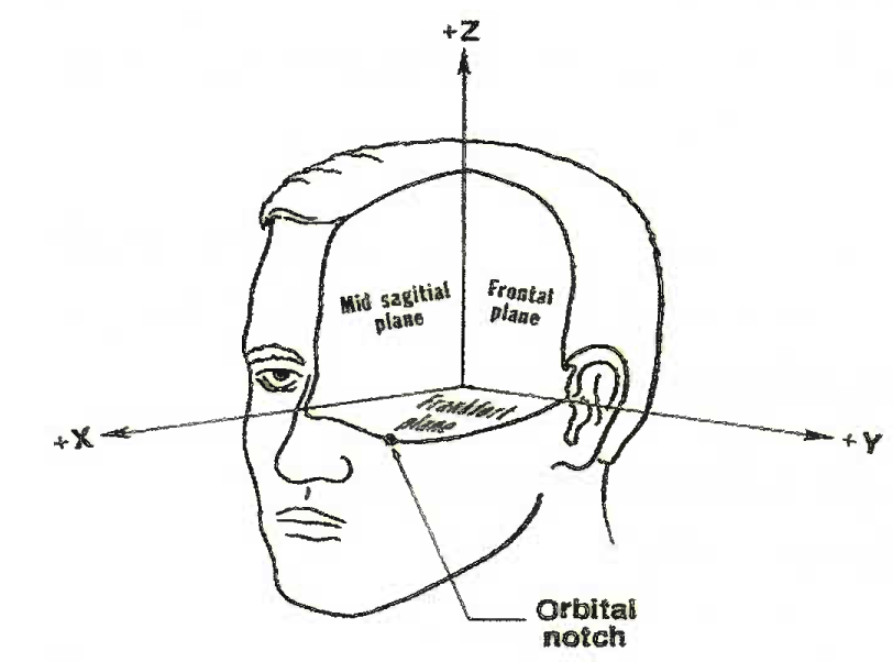 Mead anatomical coordinate system