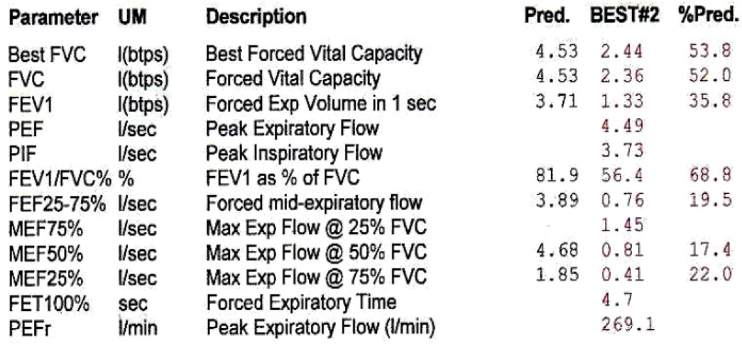 Patient's Dynamic Spirometry (Measured Values)