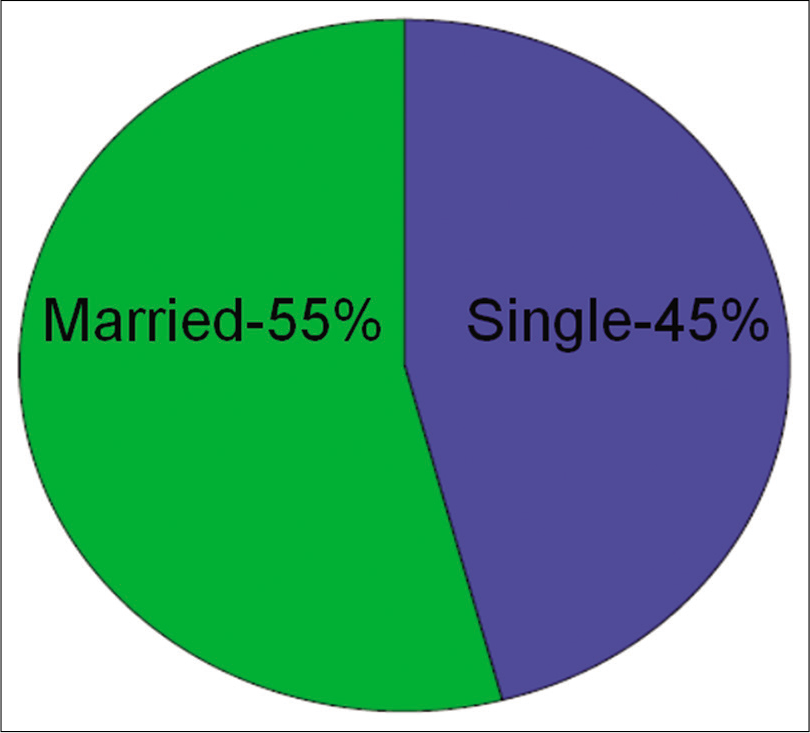 Pie chart showing marital status distribution.