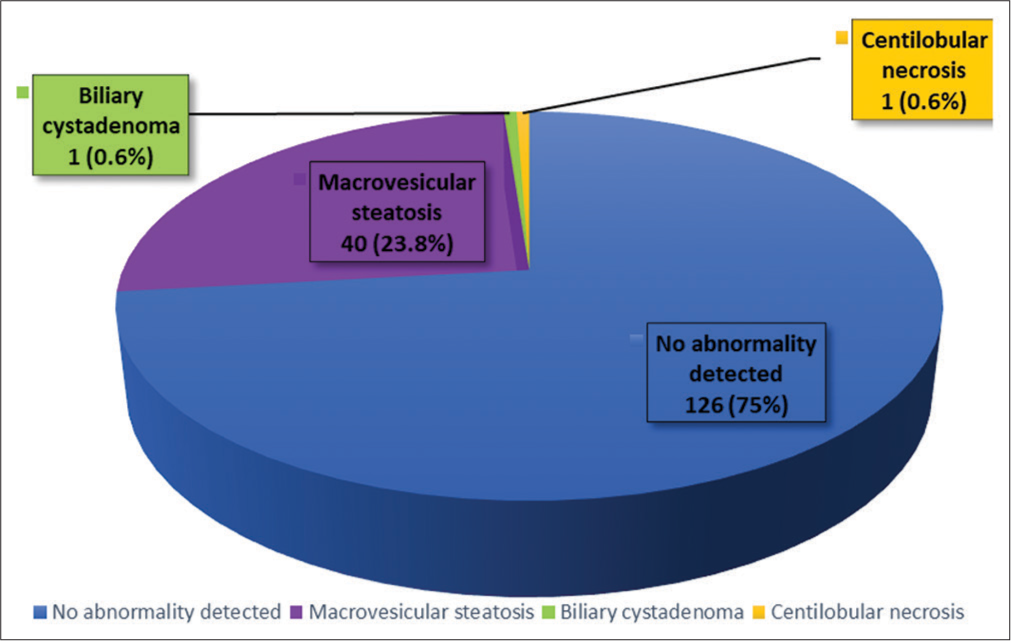 Histopathological findings observed in liver samples.
