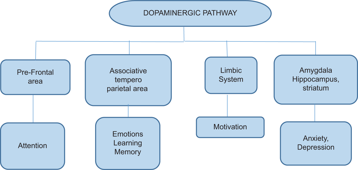 Non-auditory effects of tinnitus.